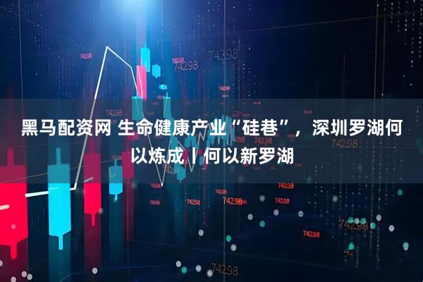 黑马配资网 生命健康产业“硅巷”，深圳罗湖何以炼成丨何以新罗湖