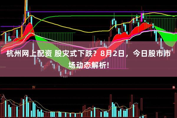 杭州网上配资 股灾式下跌？8月2日，今日股市市场动态解析!
